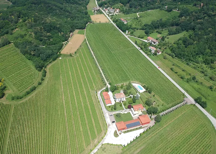 Il Roncal Wine Resort - For Wine LoversAgriturismo