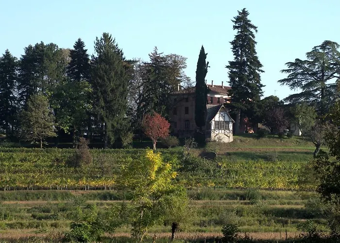 Casali Del Picchio - WineryAgriturismo