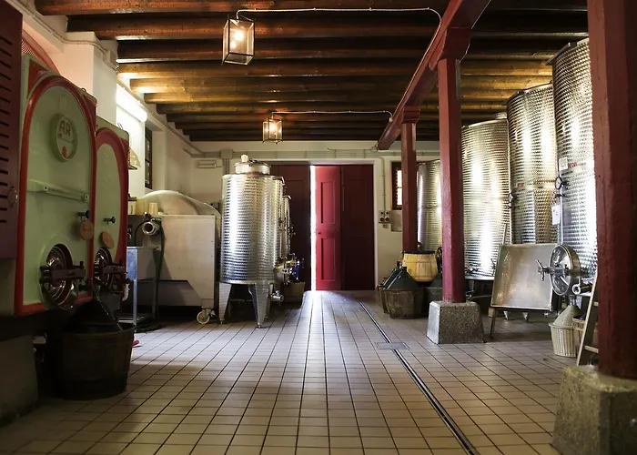 Casali Del Picchio - WineryAgriturismo